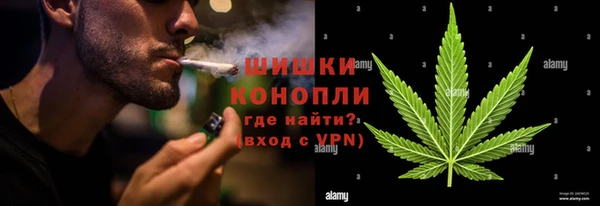 бошки Белокуриха