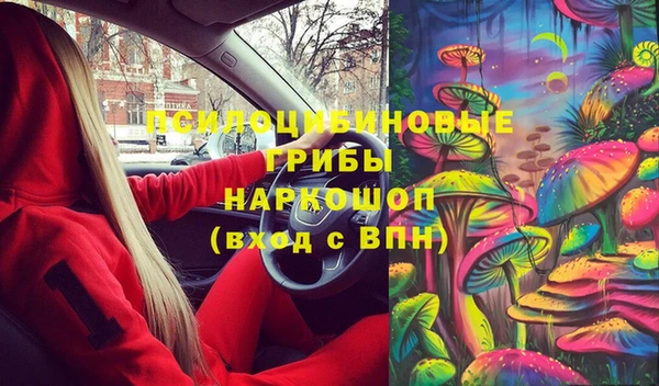 бошки Белокуриха