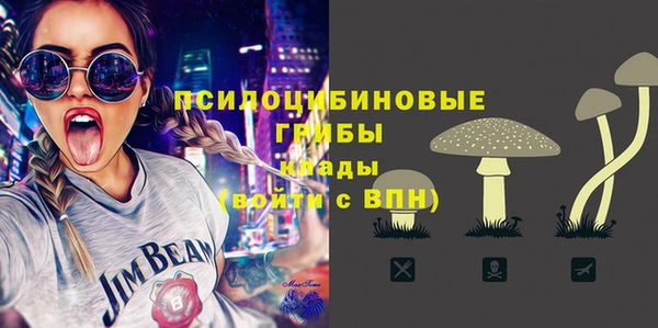 spice Беломорск