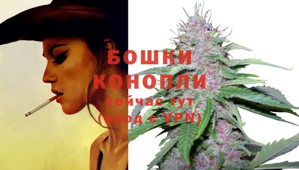 spice Беломорск