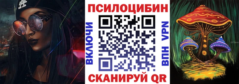 omg ССЫЛКА  цены   Высоковск  Галлюциногенные грибы Magic Shrooms 